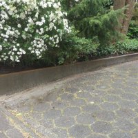 Tuin Groningen